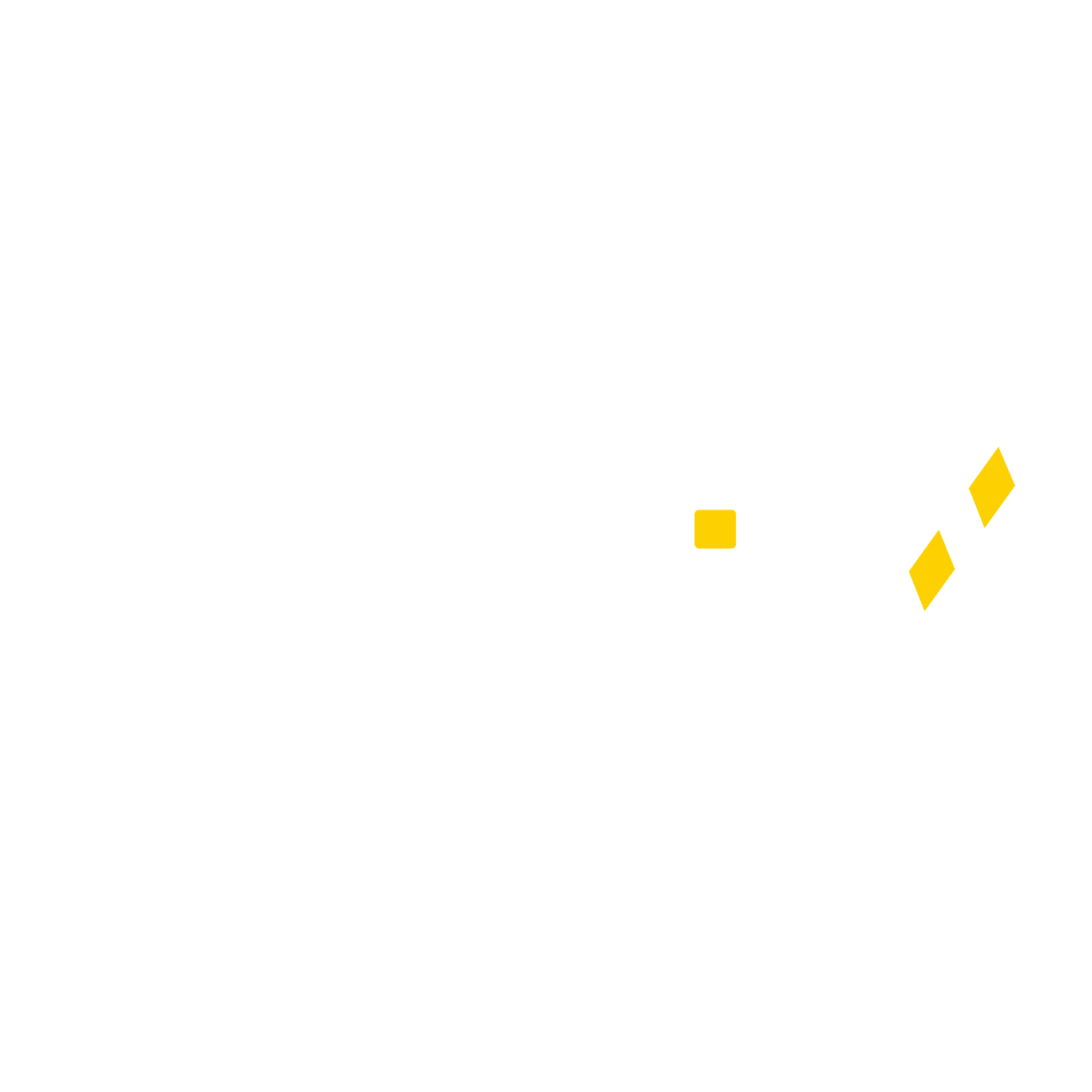 Yellow Network Private D Round